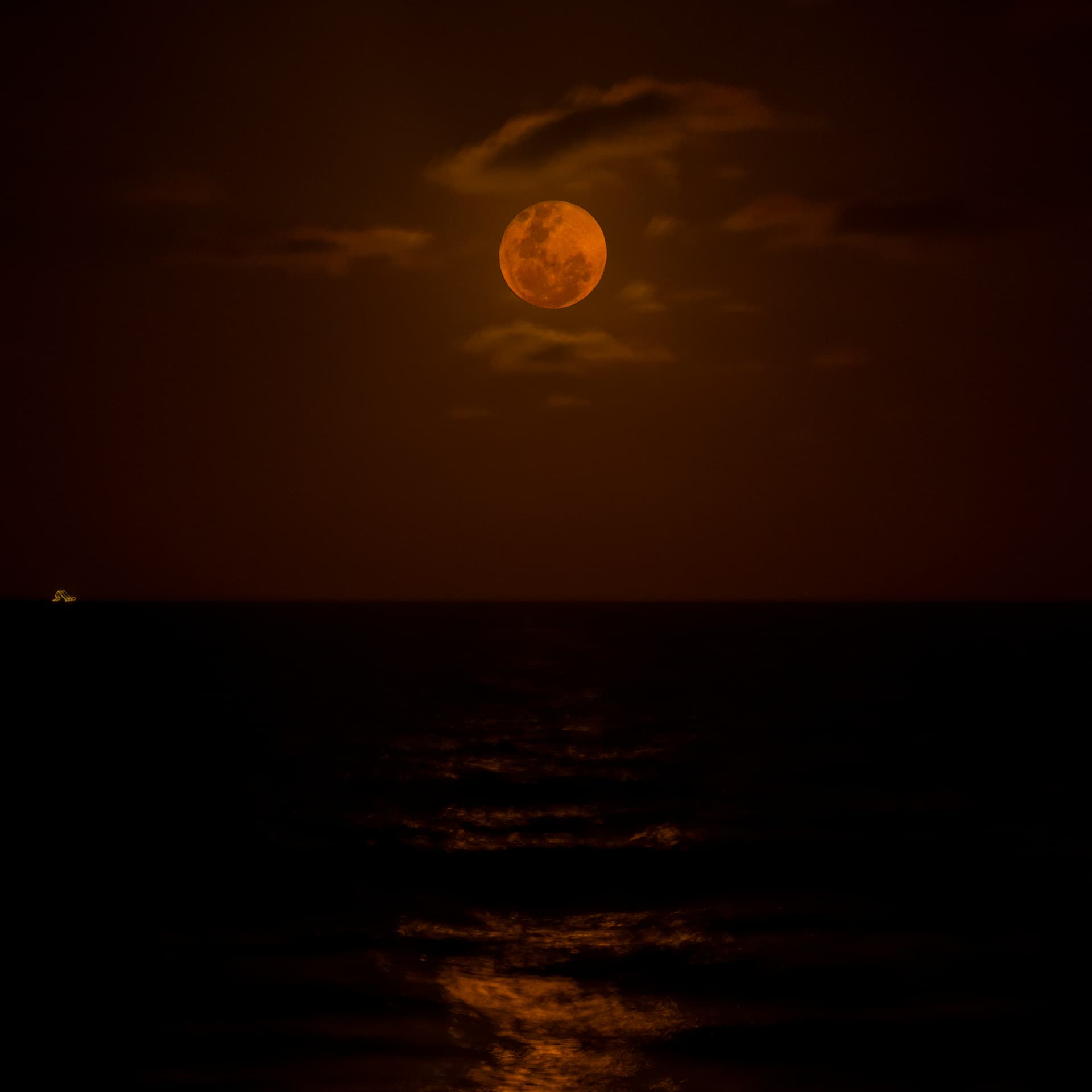 Letters to the Moon