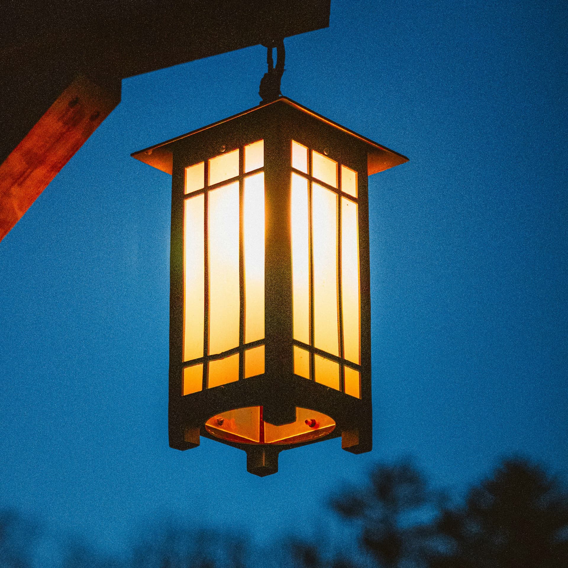 Lantern Light